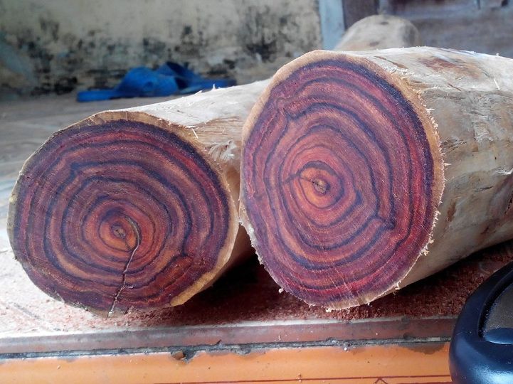 Cách nhận biết các loại gỗ huỳnh đàn